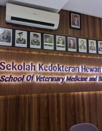 43258501-8faf-47e0-9473-39a3a0836009