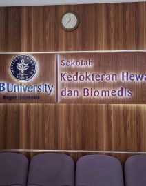 819932ce-ae52-49c4-8d50-5501154e7ea2